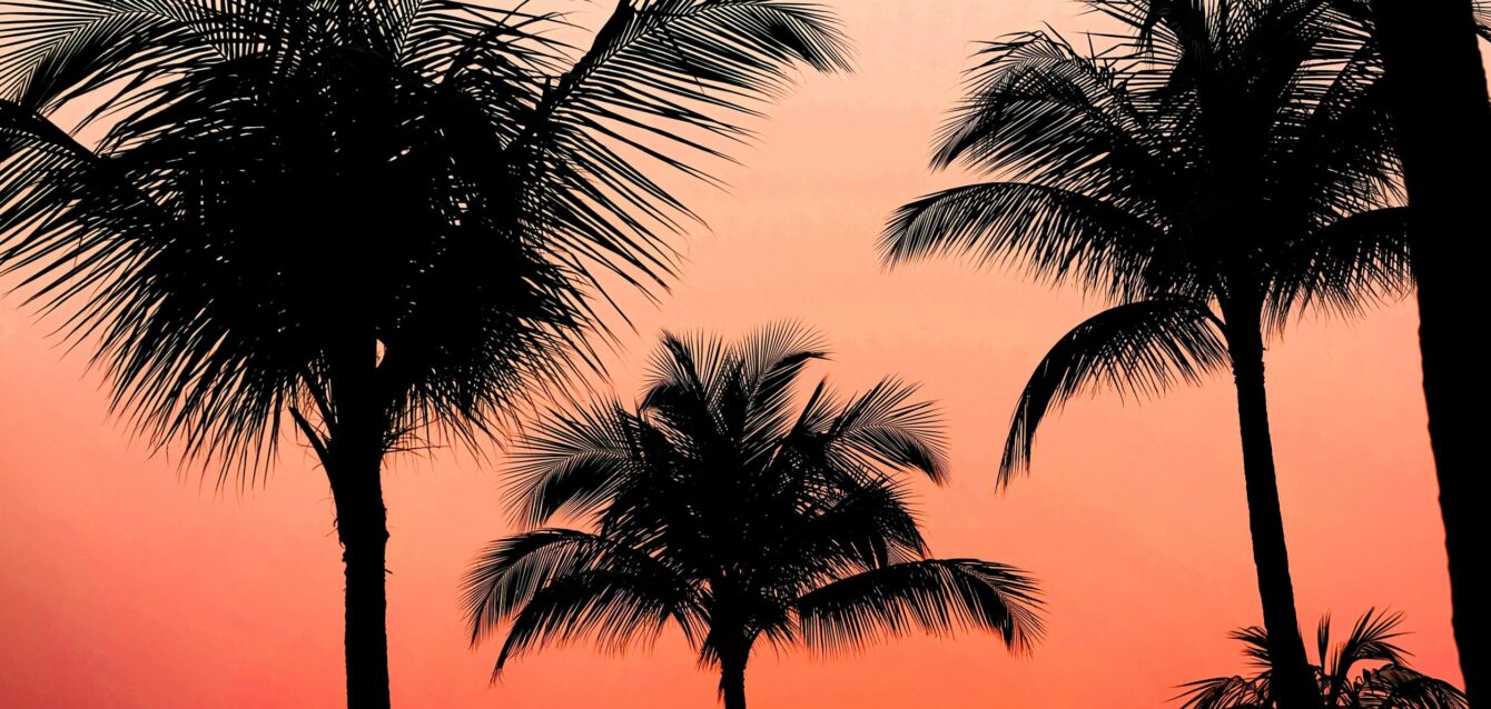 pexels-mamun-1730765 pexels-mamun-1730765